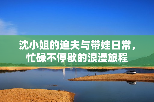 沈小姐的追夫与带娃日常,忙碌不停歇的浪漫旅程 沈小姐的追夫与带娃日常,忙碌不停歇的浪漫旅程