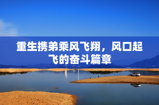 重生携弟乘风飞翔，风口起飞的奋斗篇章