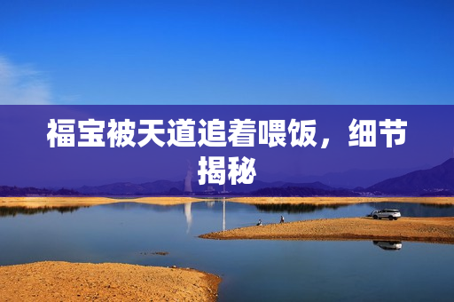 福宝被天道追着喂饭，细节揭秘