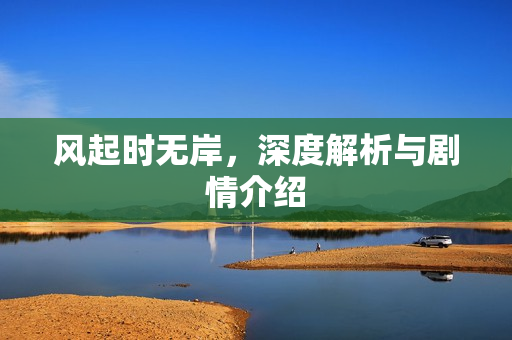 风起时无岸，深度解析与剧情介绍