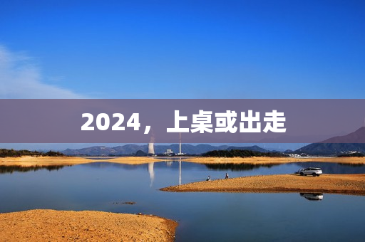 2024，上桌或出走