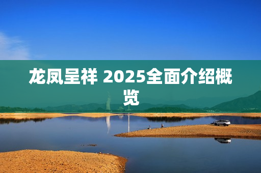 龙凤呈祥 2025全面介绍概览