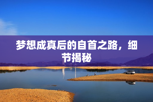 梦想成真后的自首之路，细节揭秘