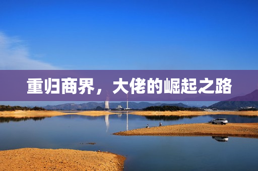 重归商界，大佬的崛起之路