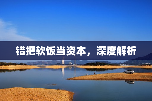 错把软饭当资本，深度解析