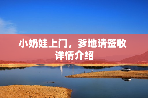 小奶娃上门，爹地请签收 详情介绍