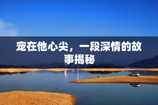 宠在他心尖，一段深情的故事揭秘