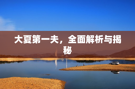 大夏第一夫，全面解析与揭秘