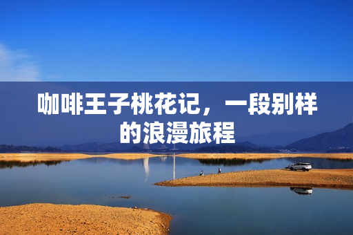 咖啡王子桃花记，一段别样的浪漫旅程