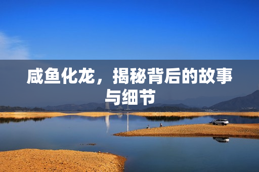 咸鱼化龙，揭秘背后的故事与细节