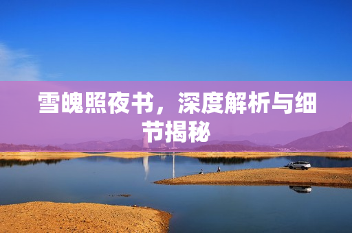 雪魄照夜书，深度解析与细节揭秘