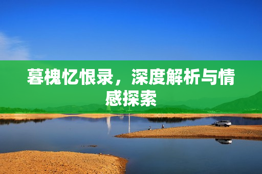 暮槐忆恨录，深度解析与情感探索