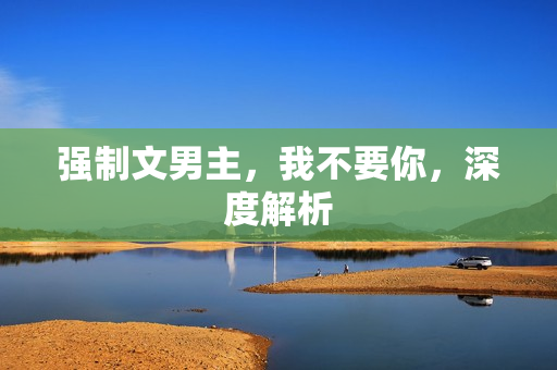 强制文男主，我不要你，深度解析