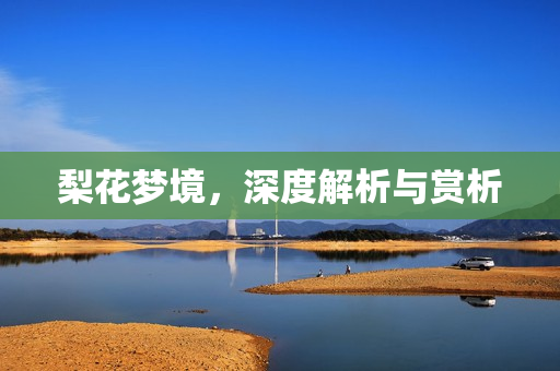 梨花梦境，深度解析与赏析