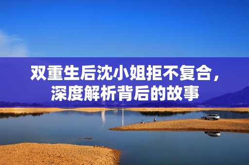 双重生后沈小姐拒不复合，深度解析背后的故事