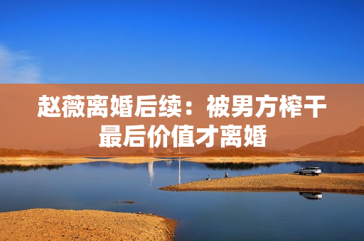 赵薇离婚后续：被男方榨干最后价值才离婚