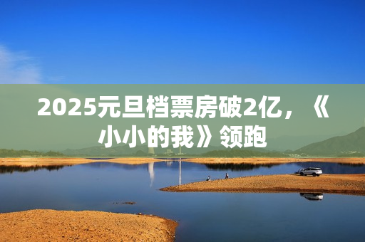 2025元旦档票房破2亿，《小小的我》领跑