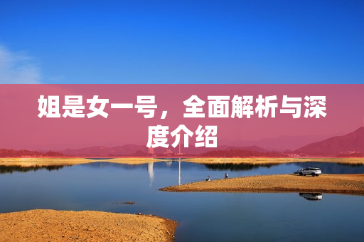 姐是女一号，全面解析与深度介绍