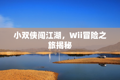 小双侠闯江湖，Wii冒险之旅揭秘