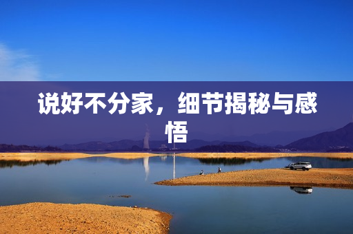 说好不分家，细节揭秘与感悟