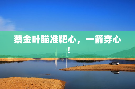 蔡金叶瞄准靶心，一箭穿心！