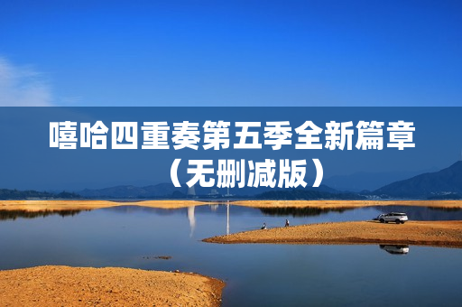 嘻哈四重奏第五季全新篇章（无删减版）