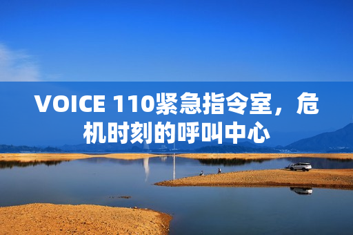VOICE 110紧急指令室，危机时刻的呼叫中心