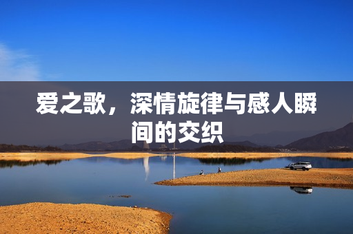 爱之歌，深情旋律与感人瞬间的交织