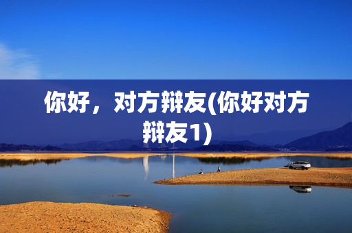 你好，对方辩友(你好对方辩友1)