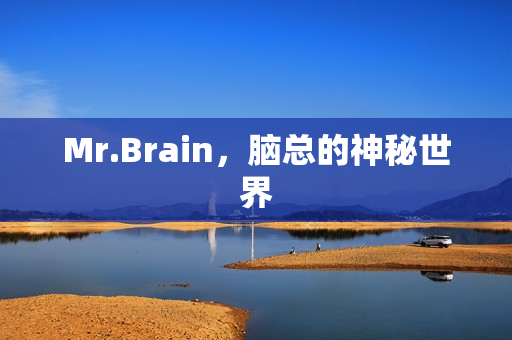 Mr.Brain，脑总的神秘世界