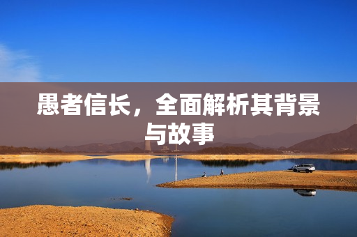 愚者信长，全面解析其背景与故事