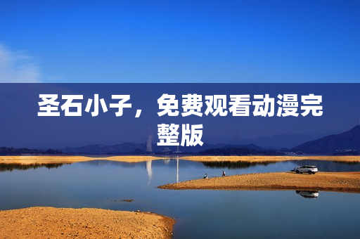 圣石小子，免费观看动漫完整版