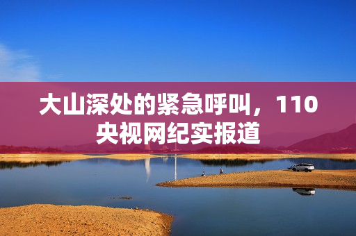 大山深处的紧急呼叫，110央视网纪实报道