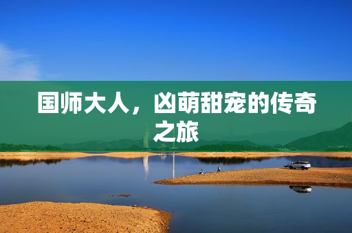 国师大人，凶萌甜宠的传奇之旅