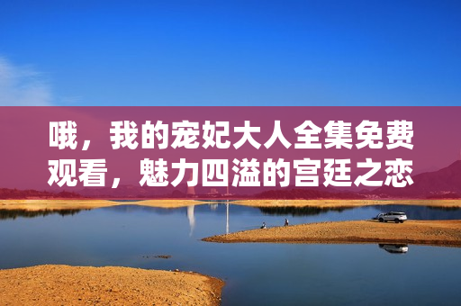 哦，我的宠妃大人全集免费观看，魅力四溢的宫廷之恋！