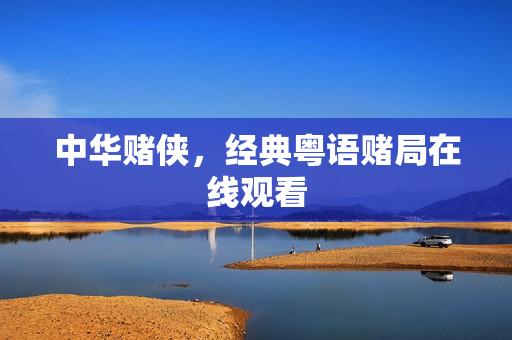 中华赌侠，经典粤语赌局在线观看