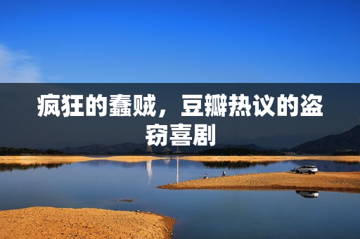 疯狂的蠢贼，豆瓣热议的盗窃喜剧