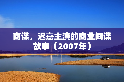 商谍，迟嘉主演的商业间谍故事（2007年）