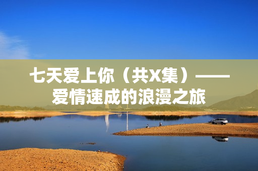 七天爱上你（共X集）——爱情速成的浪漫之旅