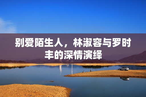 别爱陌生人，林淑容与罗时丰的深情演绎