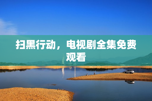 扫黑行动，电视剧全集免费观看