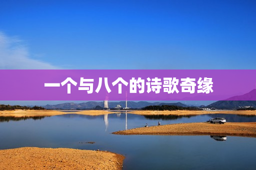 一个与八个的诗歌奇缘