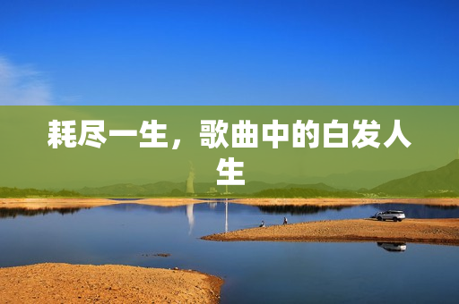 耗尽一生，歌曲中的白发人生