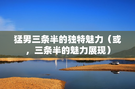 猛男三条半的独特魅力（或，三条半的魅力展现）