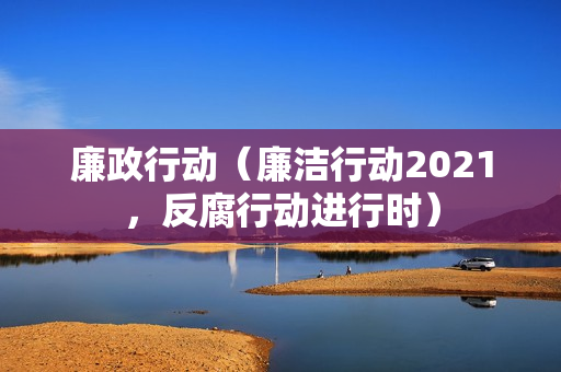 廉政行动（廉洁行动2021，反腐行动进行时）