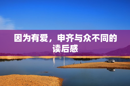 因为有爱，申齐与众不同的读后感