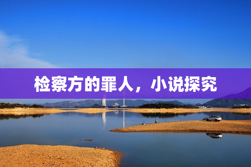 检察方的罪人，小说探究