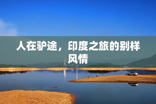 人在驴途，印度之旅的别样风情