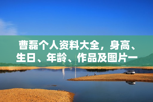 曹磊个人资料大全，身高、生日、年龄、作品及图片一览