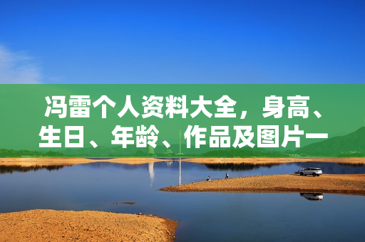 冯雷个人资料大全，身高、生日、年龄、作品及图片一览